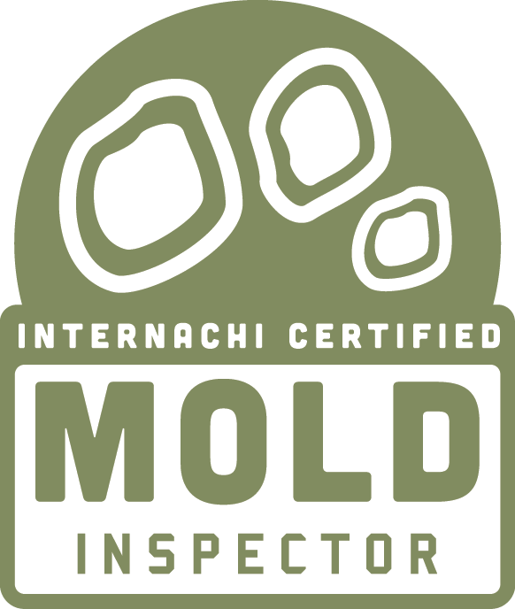 Internachi certified mold inspection