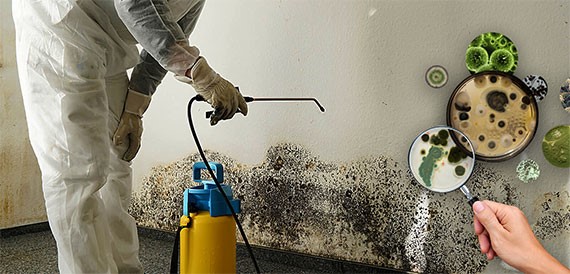 Home inspector blog. Inspection, home inspection, internachi, Internachi Certified Radon Mold Infrared imaging Safe At Home Pool and spa sewer scope Safe at home LLC John Laches ICA inspector AHIT