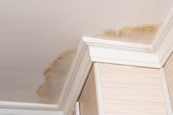 Home inspector blog. Inspection, home inspection, internachi, Internachi Certified
